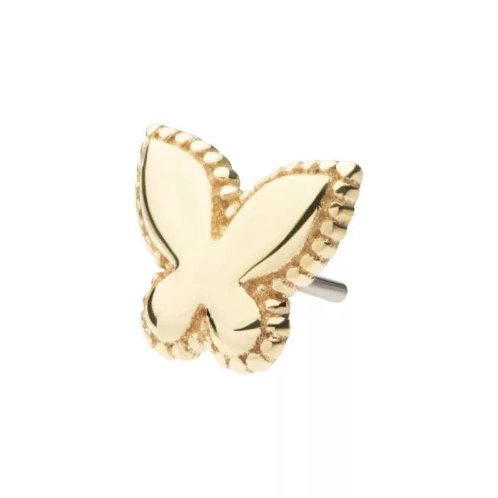 14Kt Yellow Gold Threadless Beaded Edge Butterfly Top