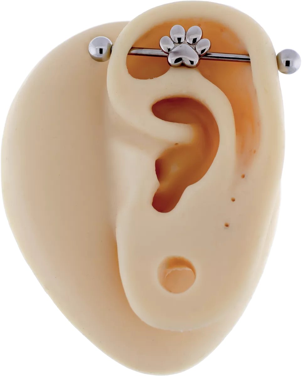Pawprint Industrial Barbell