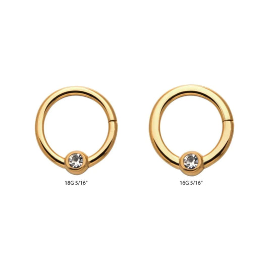 24KT Gold PVD Titanium Bezel Set Clear CZ Hinged Segment Ring