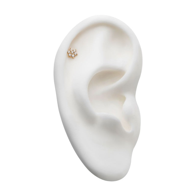 14k Threadless Yellow Gold 6-Prong Flower