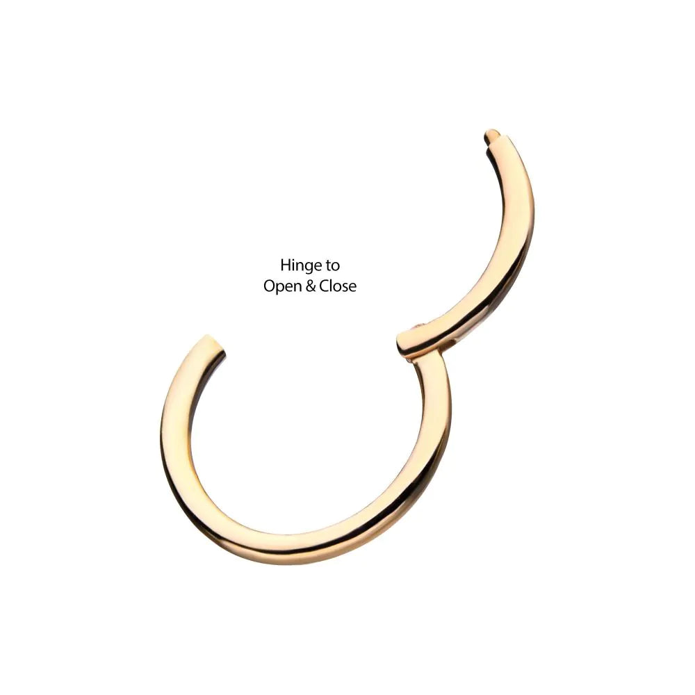 14Kt Yellow Gold Plain Hinged Segment Clicker