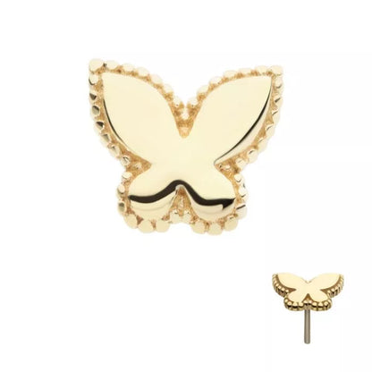 14Kt Yellow Gold Threadless Beaded Edge Butterfly Top