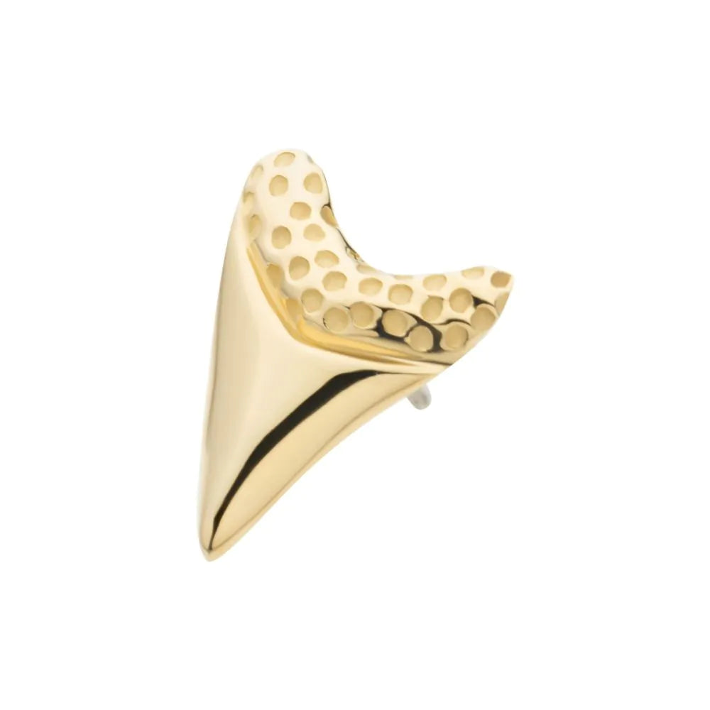 14Kt Gold Threadless Megalodon Shark Tooth Top