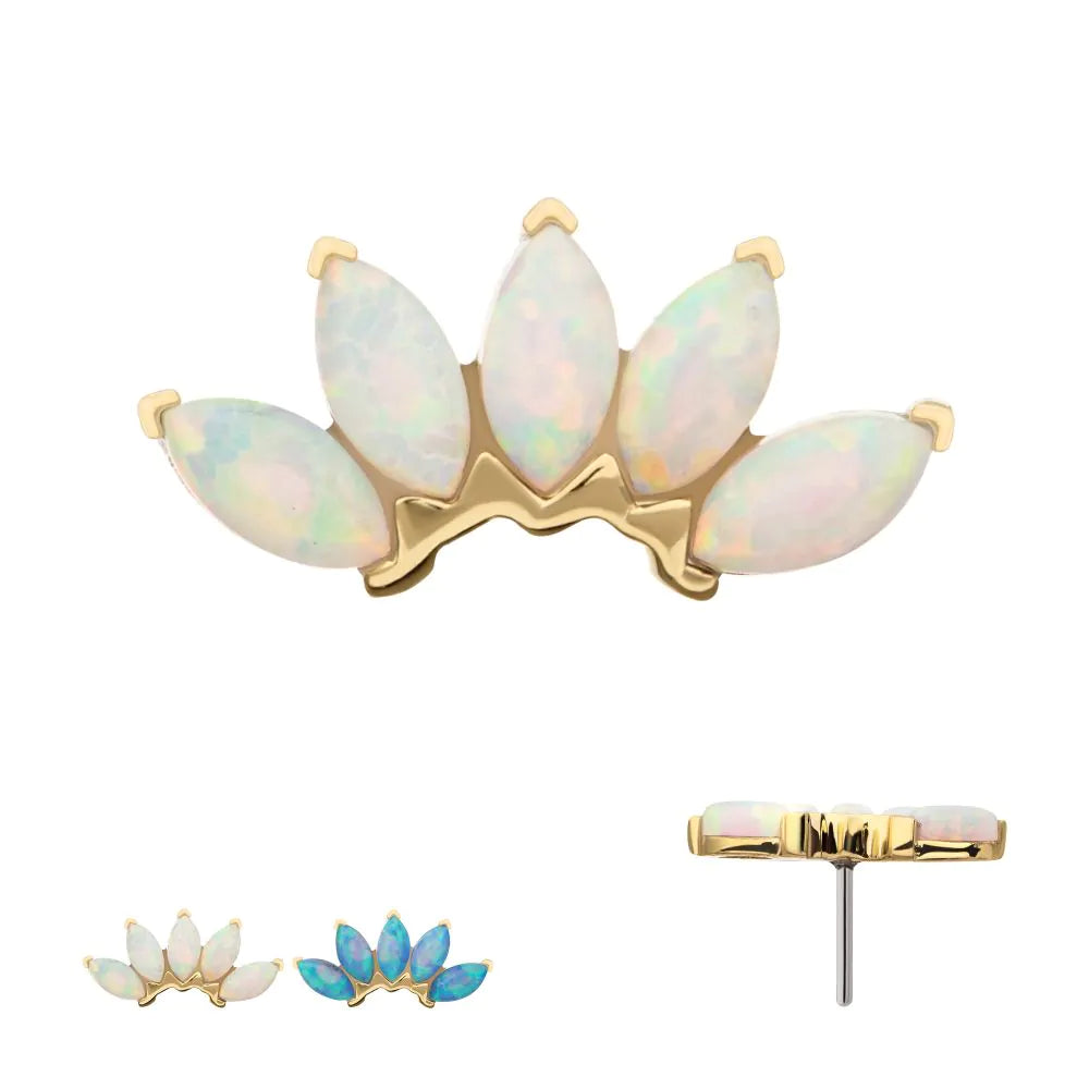 14Kt Yellow Gold Threadless Fan Shape Top with 5-Cluster Marquise Prong Opal