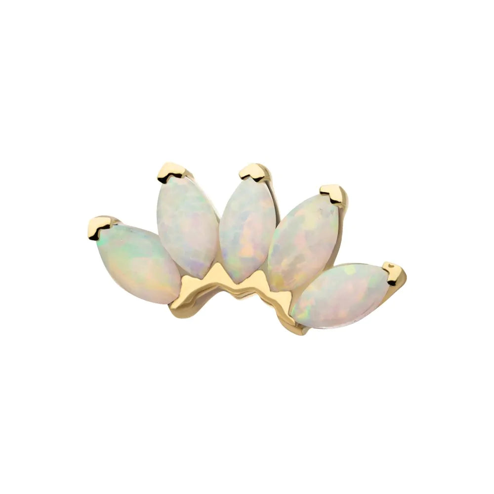 14Kt Yellow Gold Threadless Fan Shape Top with 5-Cluster Marquise Prong Opal