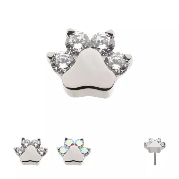 Titanium Threadless with Prong Set CZ 4-Cluster Paw Top